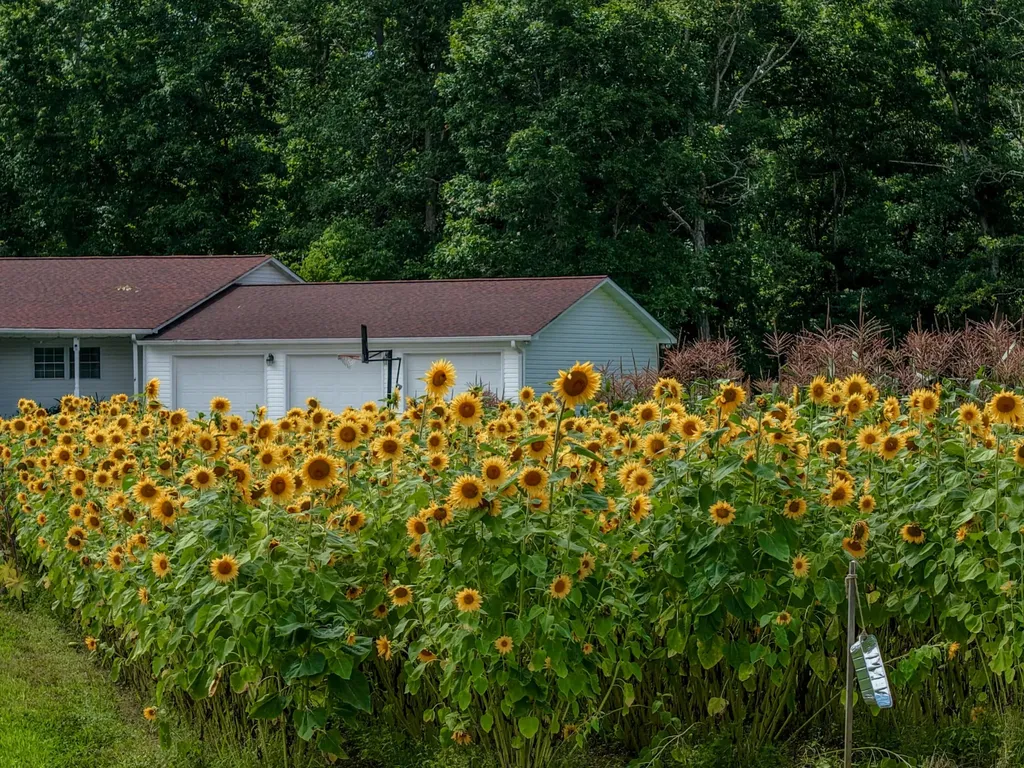 7055 Mooneyham Lonewood Road Spencer TN 38585