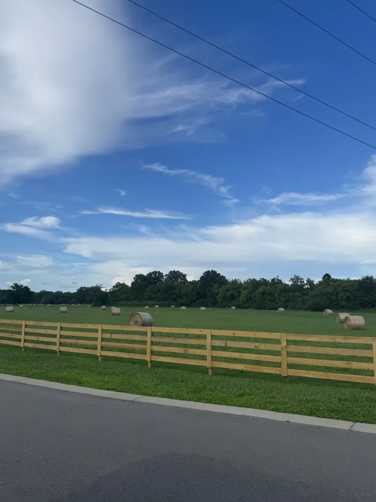 4770 Woodrow Place Arrington TN 37014