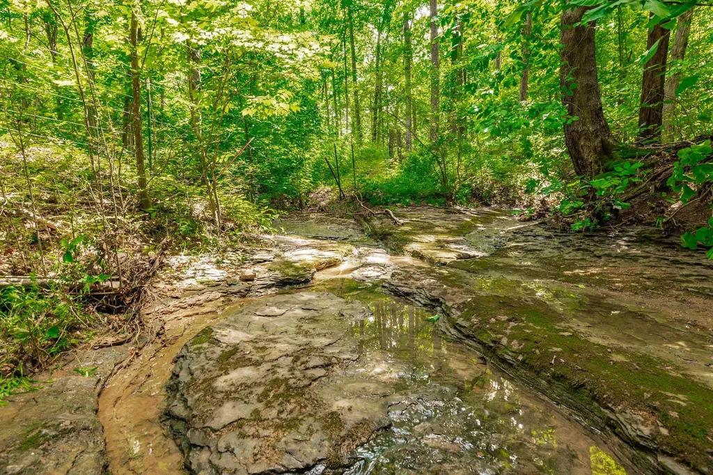 0 New Hall Road Greenbrier TN 37073