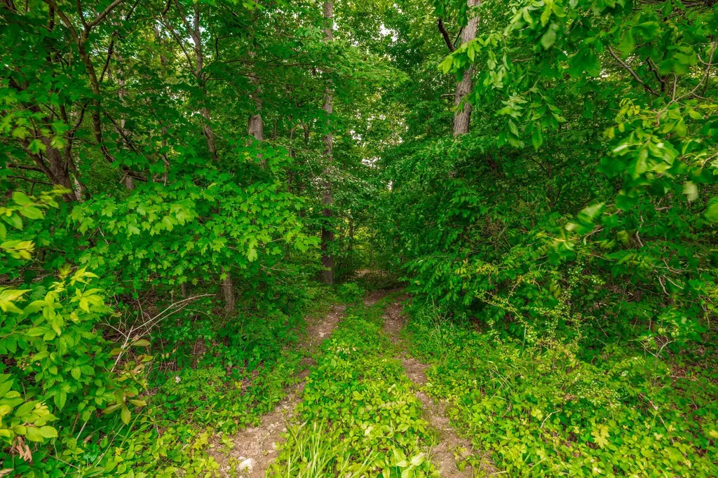 0 New Hall Road Greenbrier TN 37073