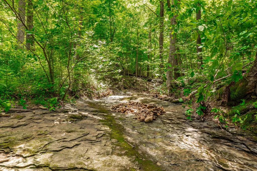 0 New Hall Road Greenbrier TN 37073