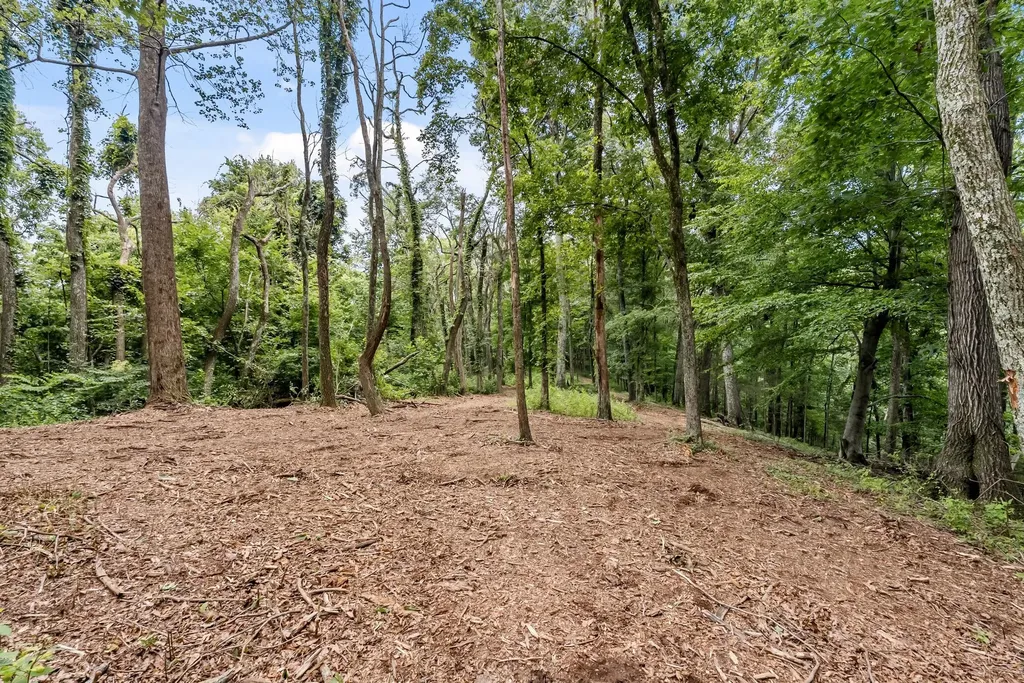 0 Carters Creek Pike Franklin TN 37064