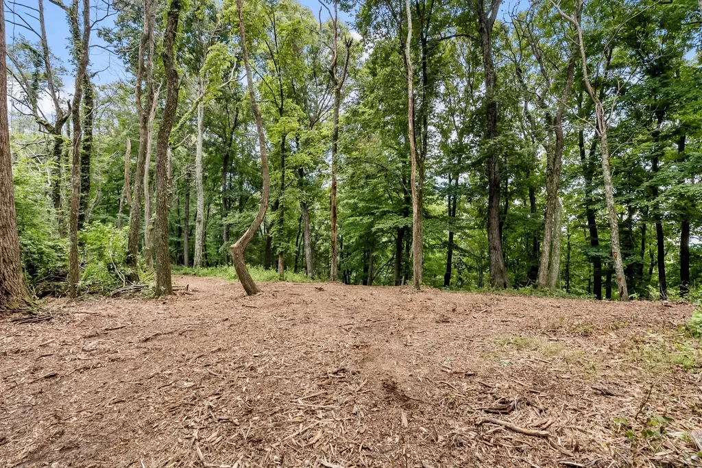 0 Carters Creek Pike Franklin TN 37064
