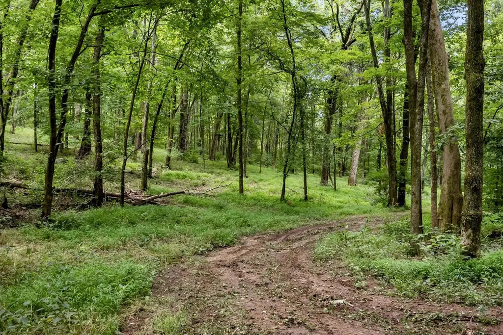 0 Carters Creek Pike Franklin TN 37064