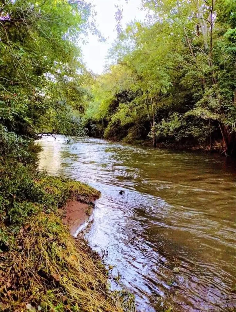1830 Mcbride Road Lewisburg TN 37091