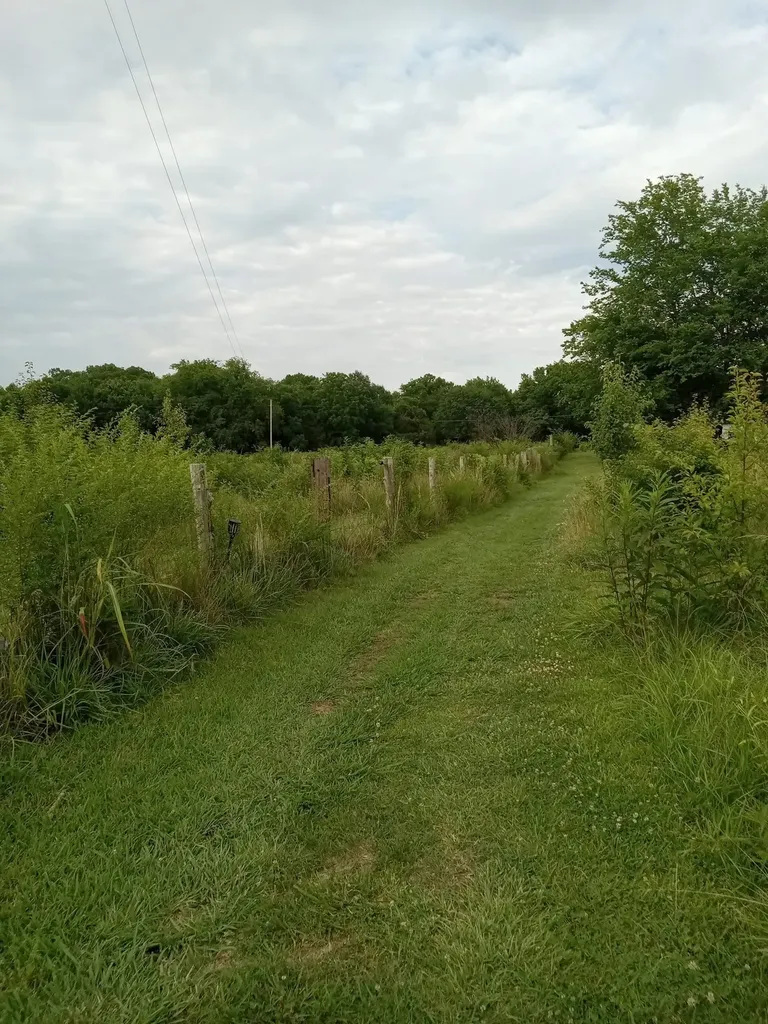 1830 Mcbride Road Lewisburg TN 37091