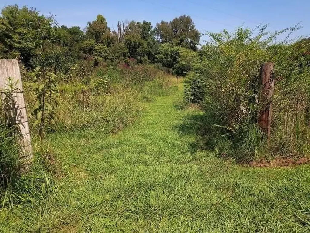 1830 Mcbride Road Lewisburg TN 37091