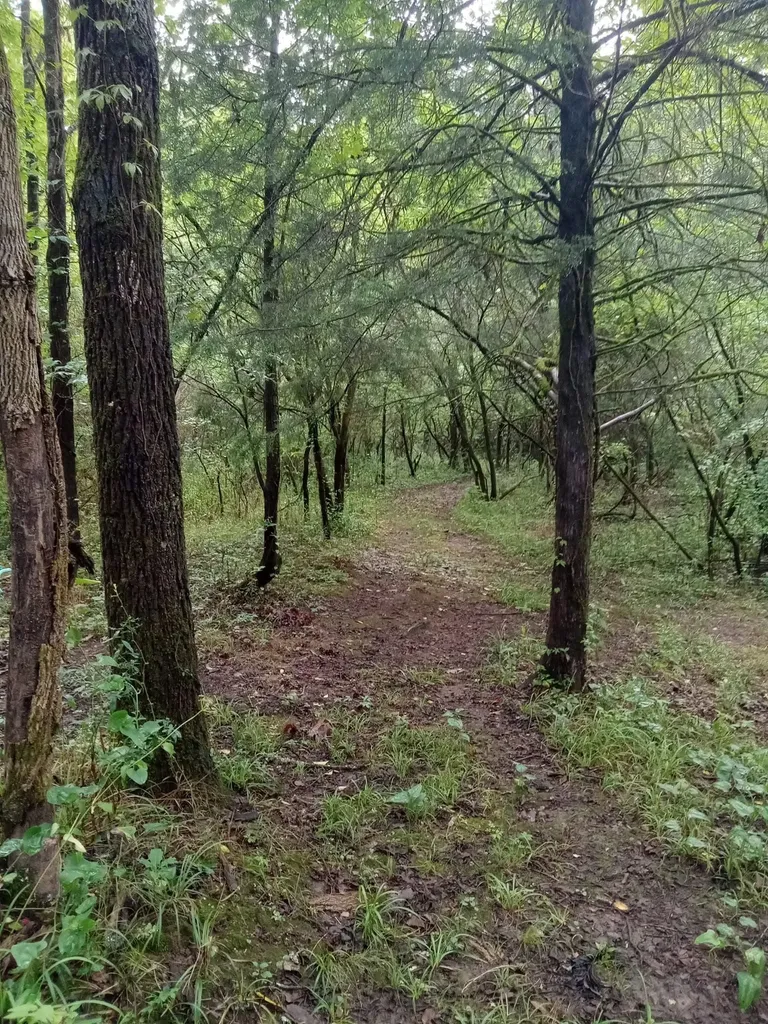 1830 Mcbride Road Lewisburg TN 37091