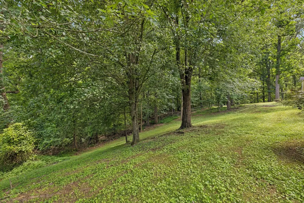 1044 Winding Way Drive White House TN 37188