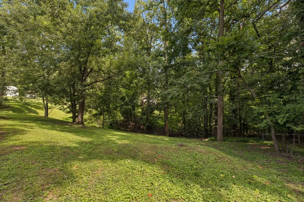 1044 Winding Way Drive White House TN 37188