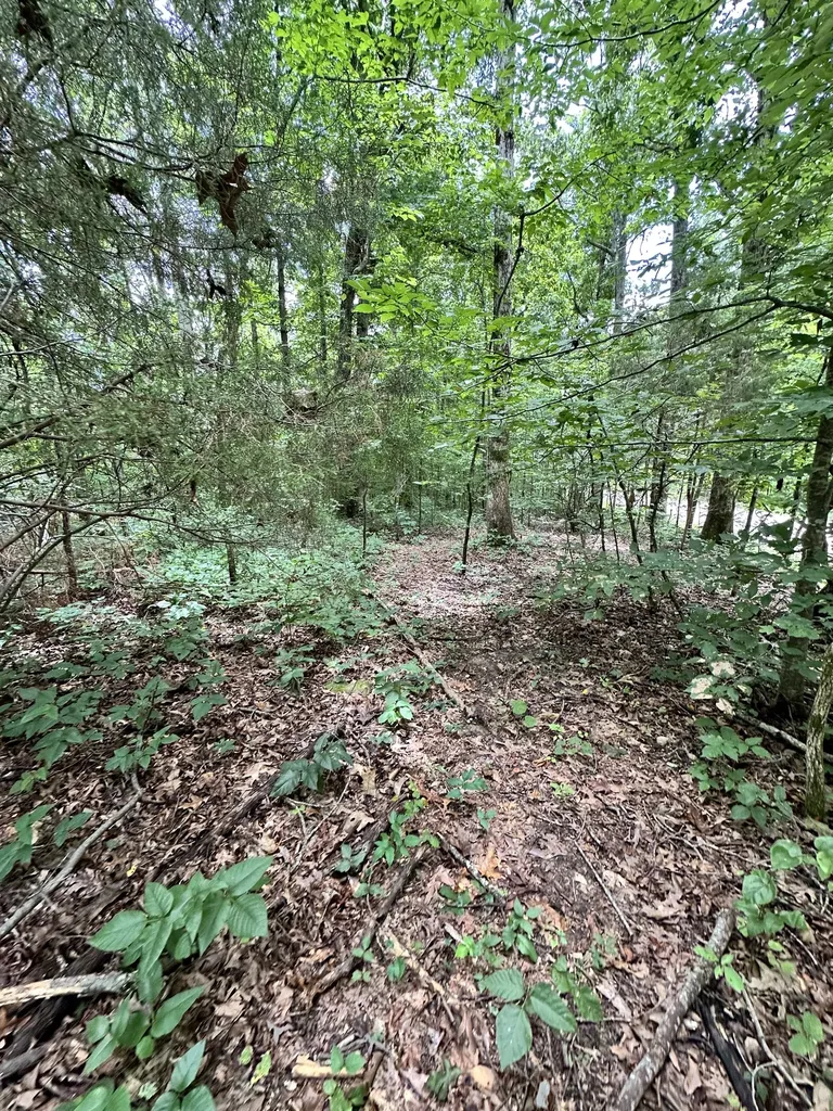 0 Les Hughes Road Fairview TN 37062