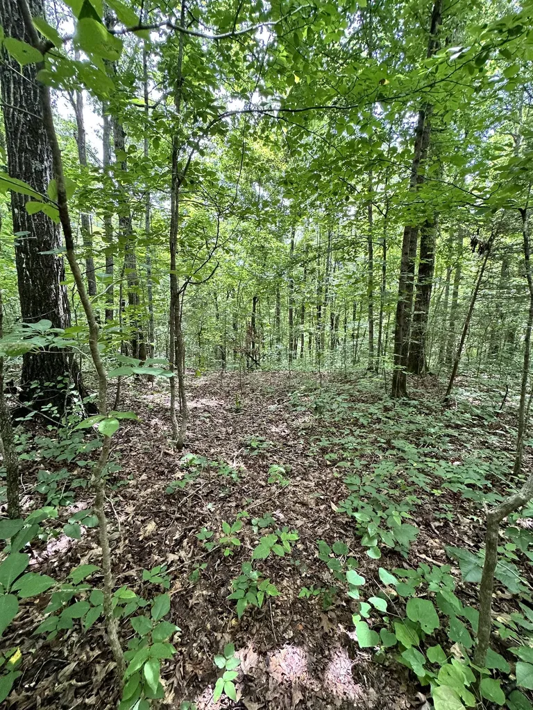 0 Les Hughes Road Fairview TN 37062