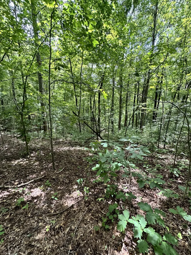 0 Les Hughes Road Fairview TN 37062