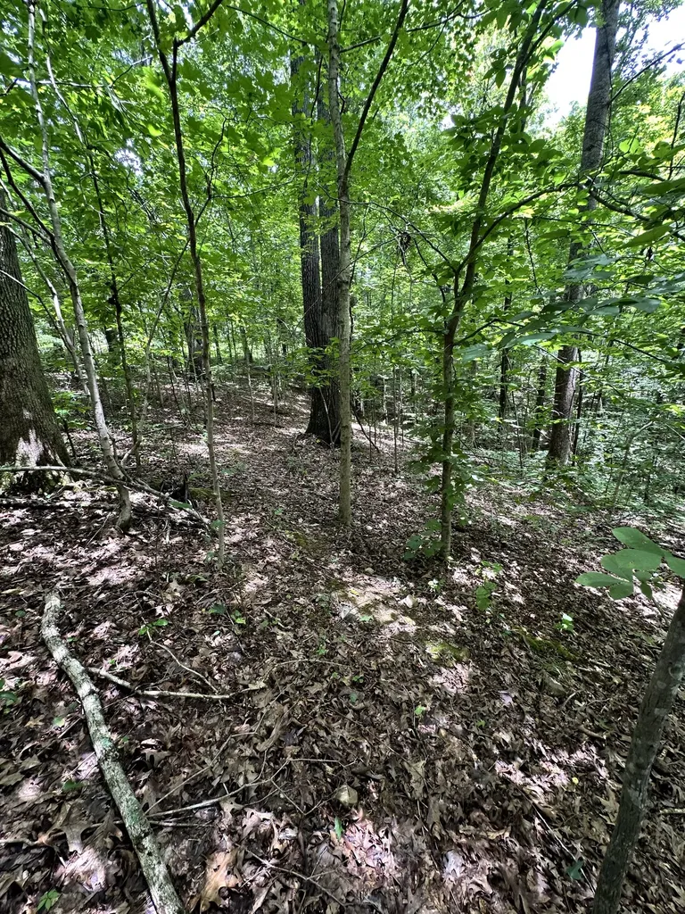 0 Les Hughes Road Fairview TN 37062
