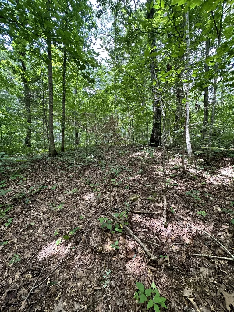 0 Les Hughes Road Fairview TN 37062