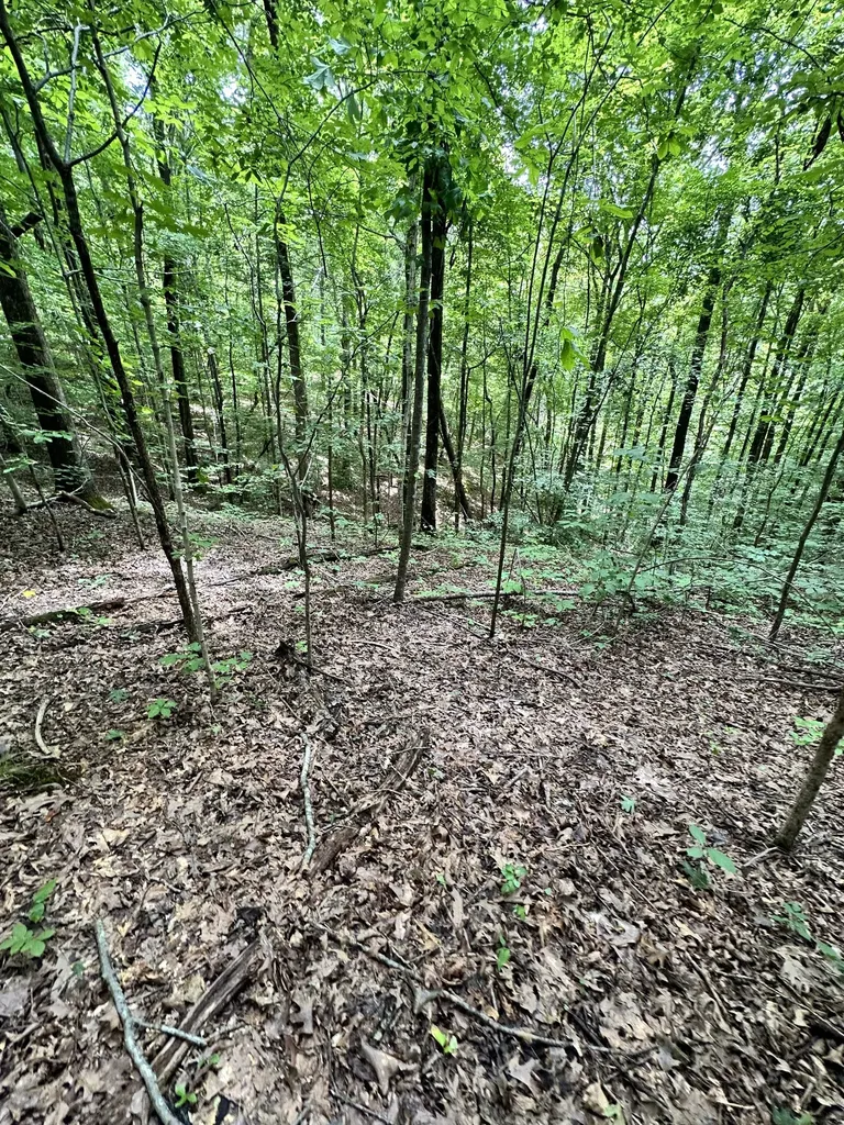 0 Les Hughes Road Fairview TN 37062