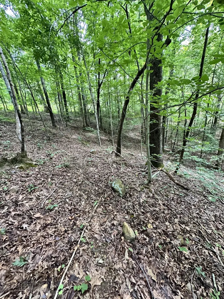 0 Les Hughes Road Fairview TN 37062