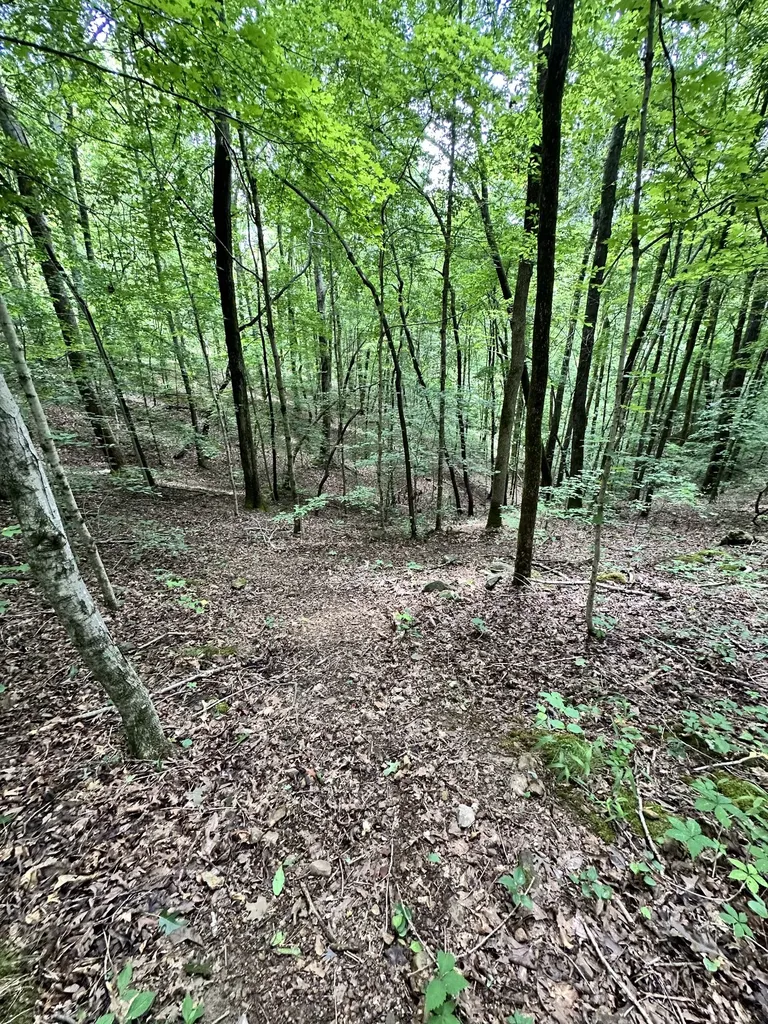 0 Les Hughes Road Fairview TN 37062