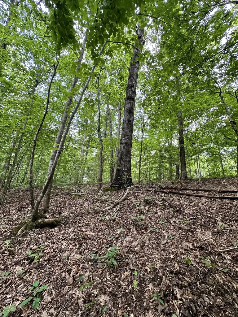 0 Les Hughes Road Fairview TN 37062