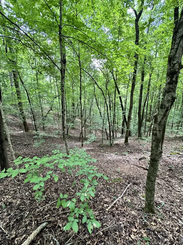 0 Les Hughes Road Fairview TN 37062