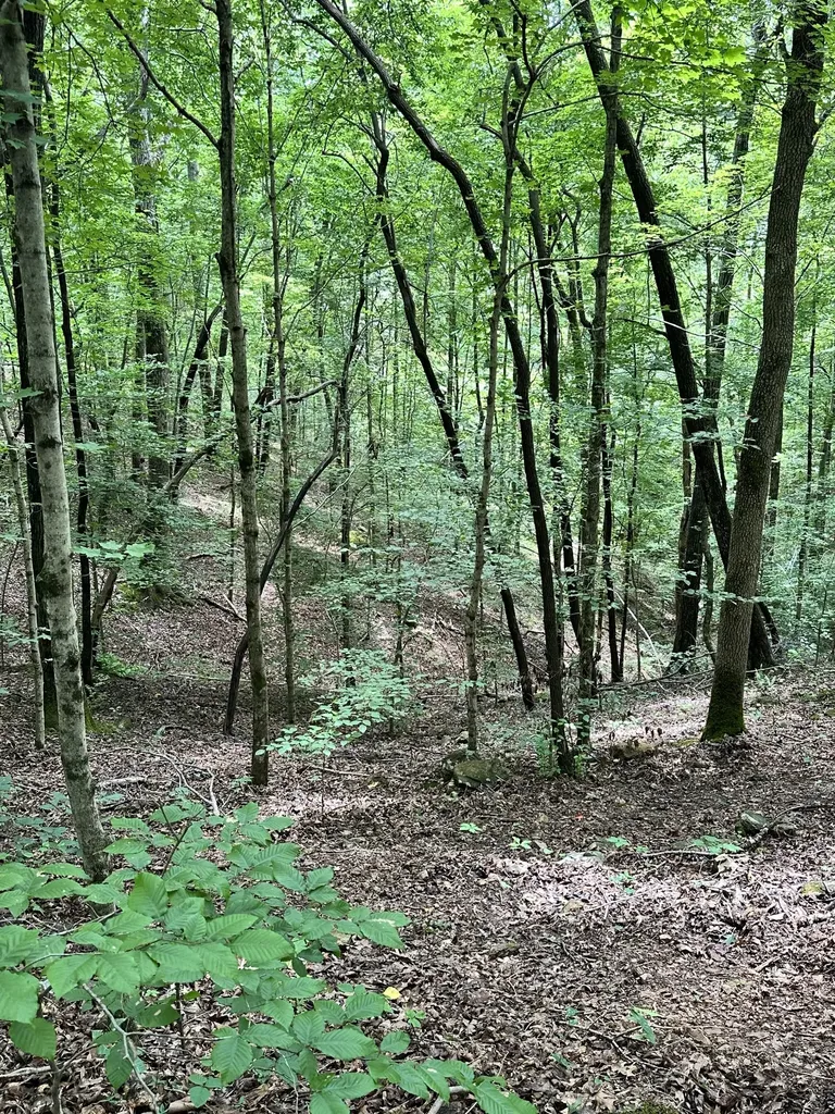 0 Les Hughes Road Fairview TN 37062