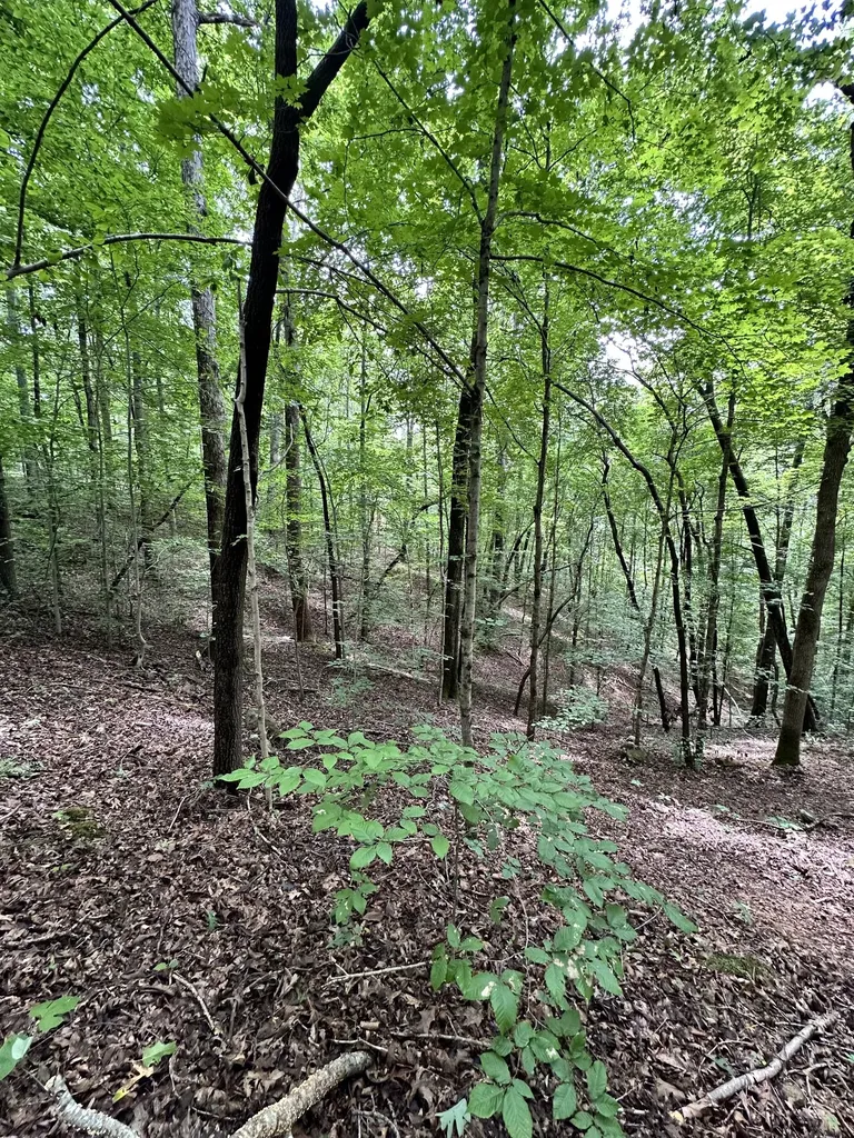 0 Les Hughes Road Fairview TN 37062