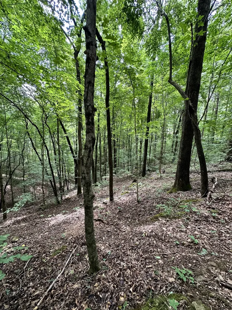 0 Les Hughes Road Fairview TN 37062