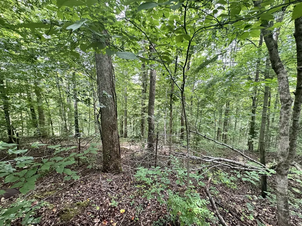 0 Les Hughes Road Fairview TN 37062