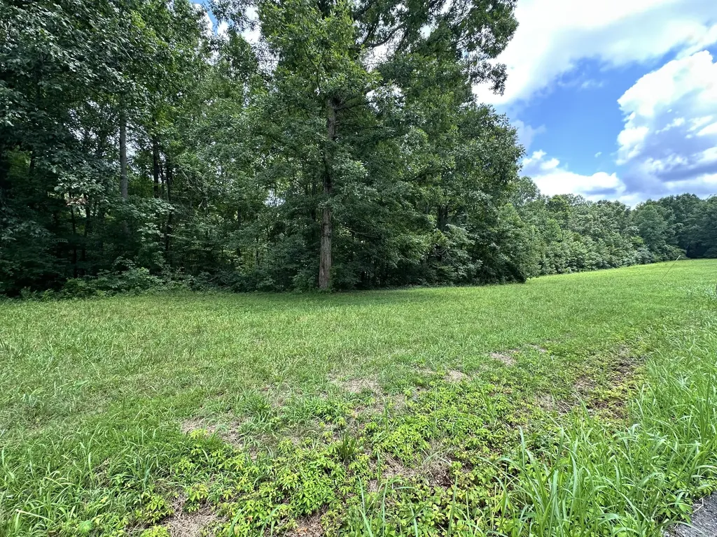 0 Les Hughes Road Fairview TN 37062