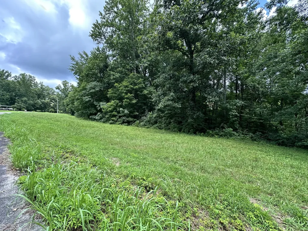 0 Les Hughes Road Fairview TN 37062