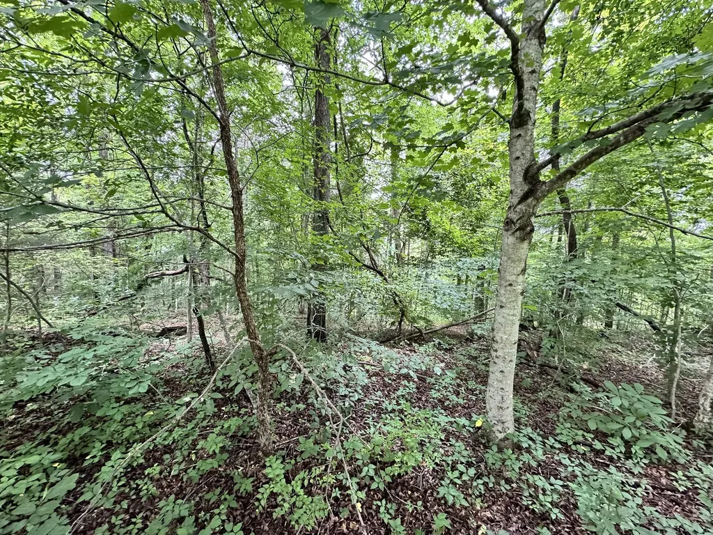 0 Les Hughes Road Fairview TN 37062