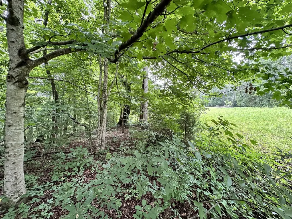 0 Les Hughes Road Fairview TN 37062
