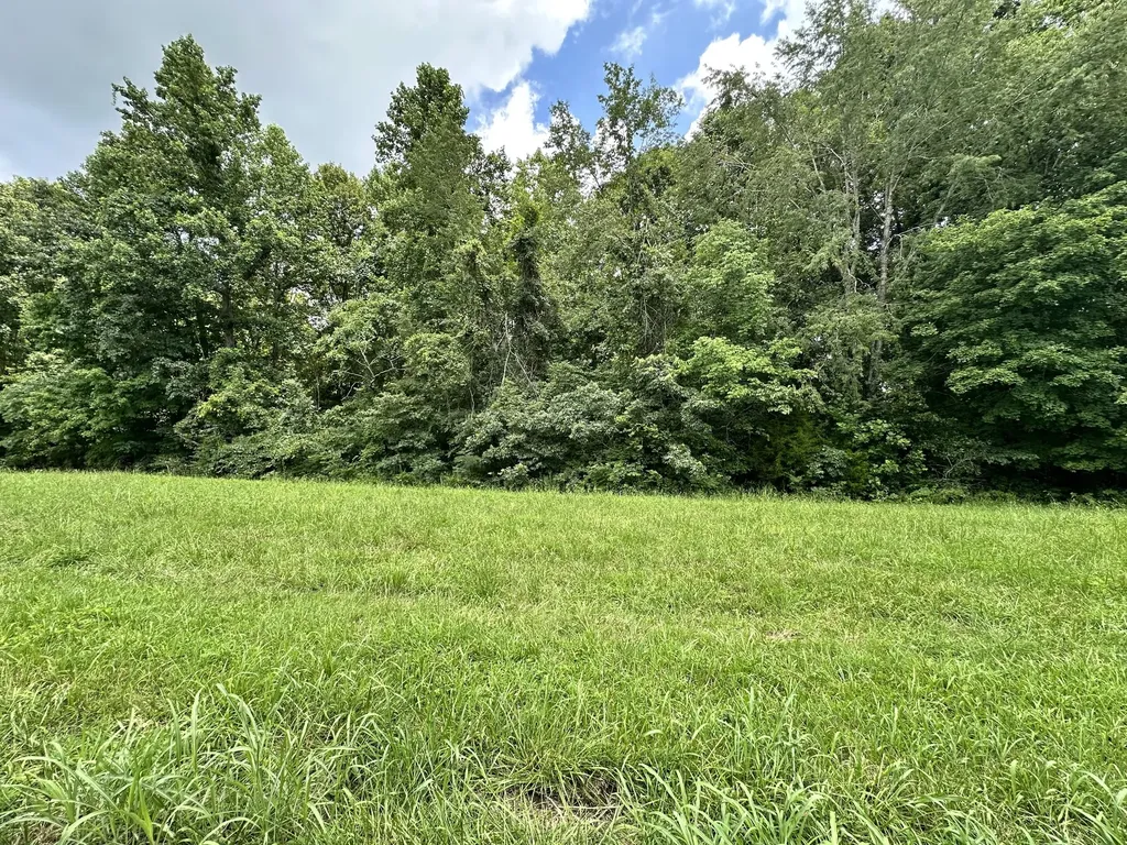 0 Les Hughes Road Fairview TN 37062