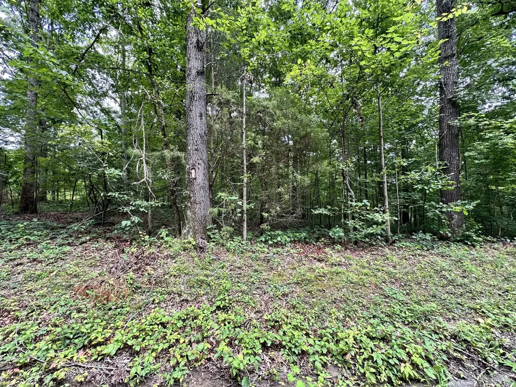 0 Les Hughes Road Fairview TN 37062