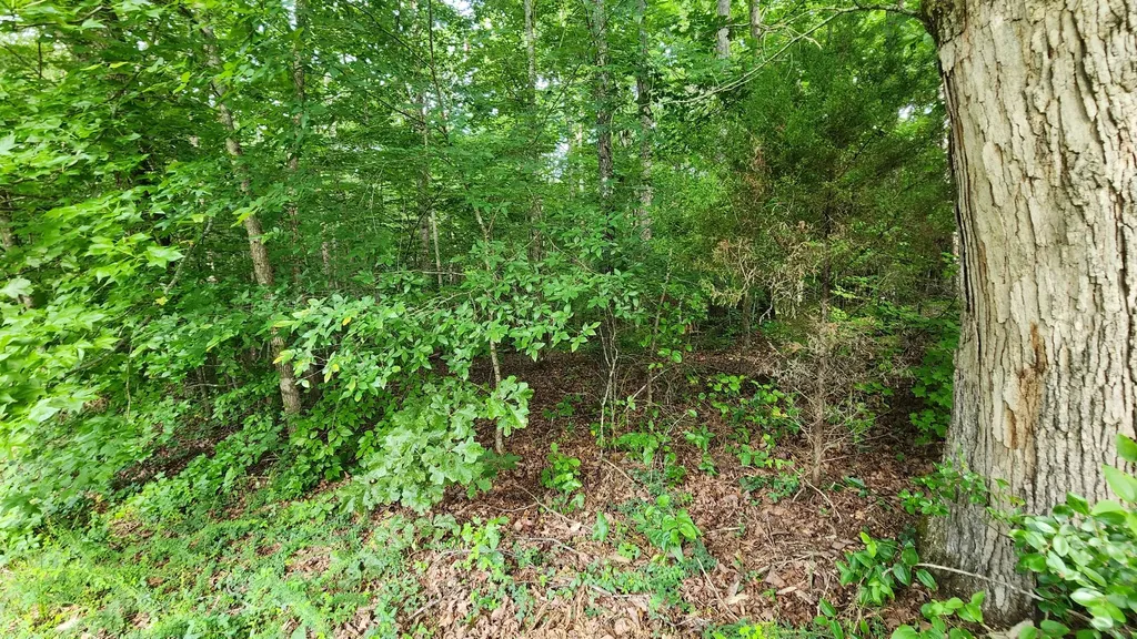 0 Riverwatch Trc Sparta TN 38583