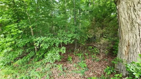 0 Riverwatch Trc Sparta TN 38583