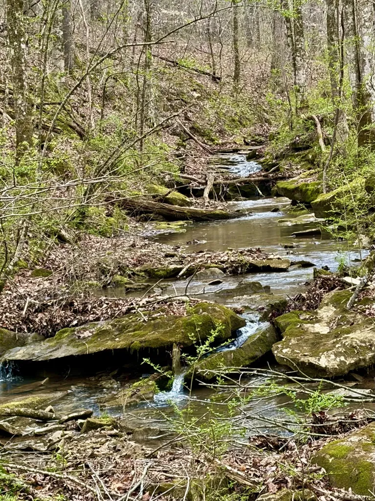 0 Kermet Turner Road Rock Island TN 38581