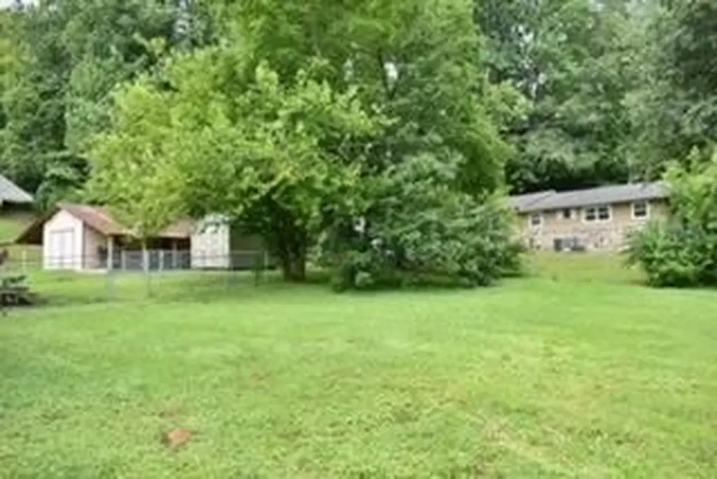 181 Spring Street Spring City TN 37381