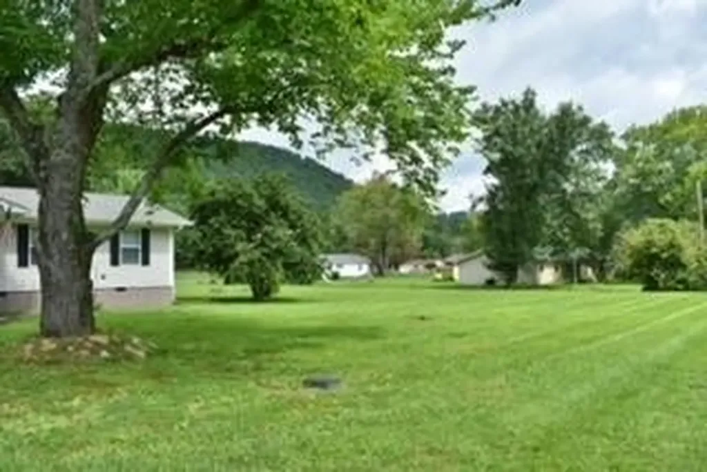 181 Spring Street Spring City TN 37381