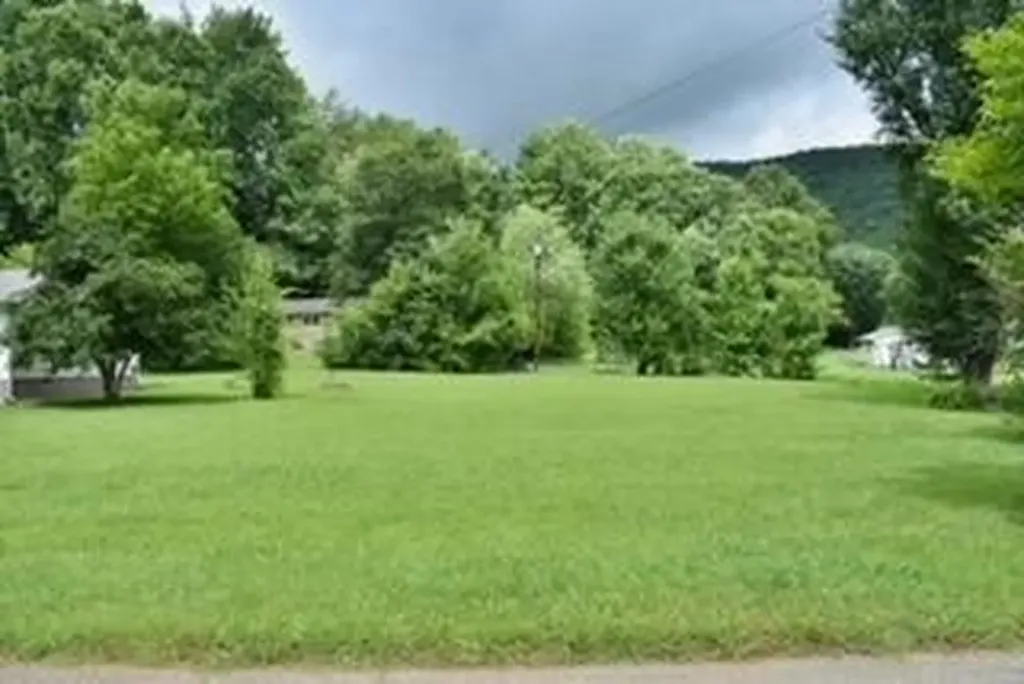 181 Spring Street Spring City TN 37381
