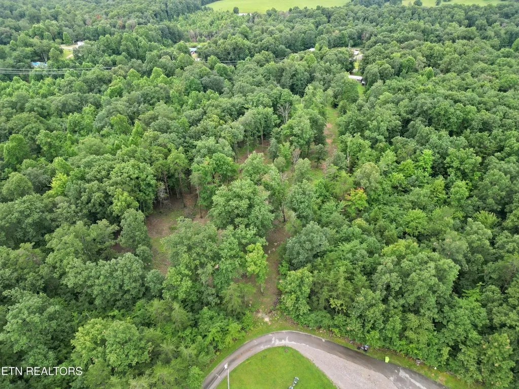 766 Wallop Lane Crossville TN 38571