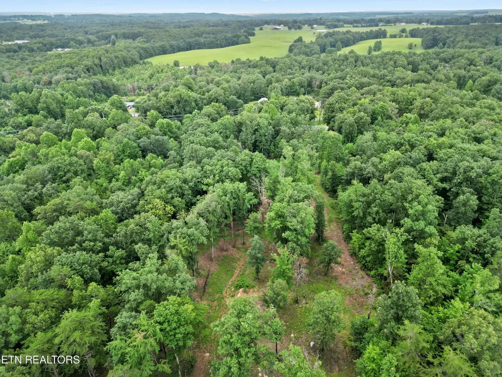 766 Wallop Lane Crossville TN 38571