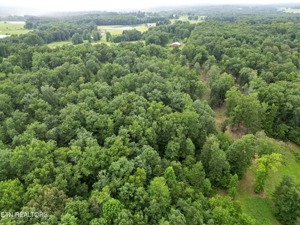 766 Wallop Lane Crossville TN 38571