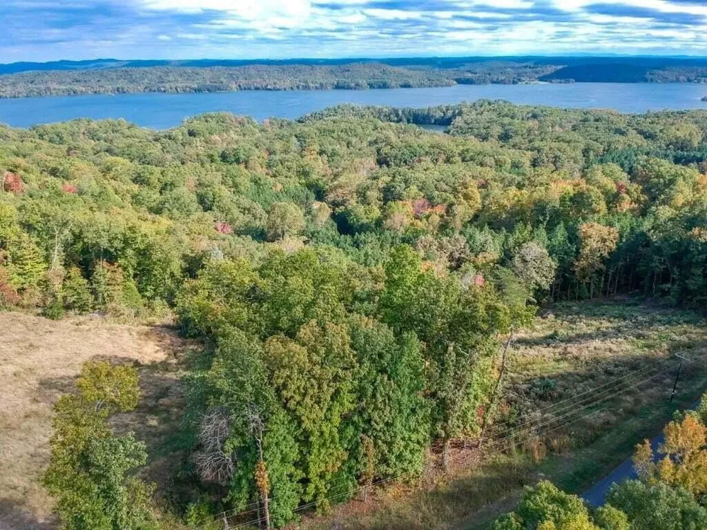 272 Spruce Drive Spring City TN 37381