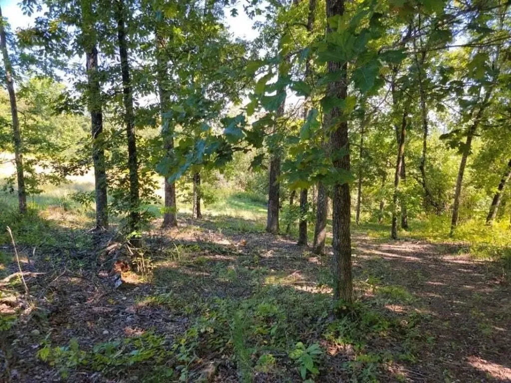 272 Spruce Drive Spring City TN 37381
