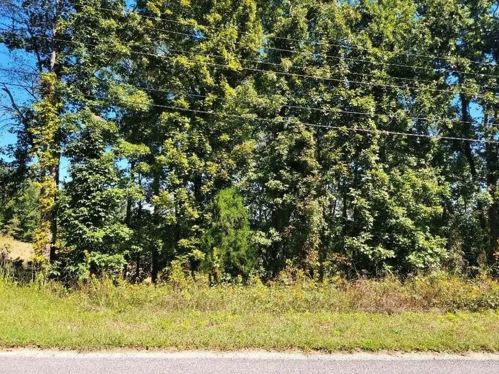 272 Spruce Drive Spring City TN 37381