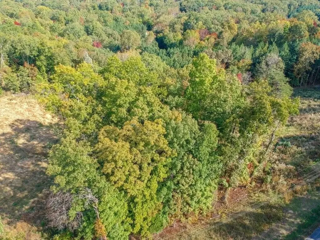 272 Spruce Drive Spring City TN 37381