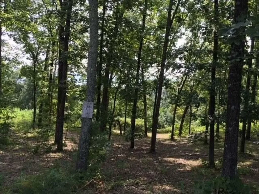 272 Spruce Drive Spring City TN 37381