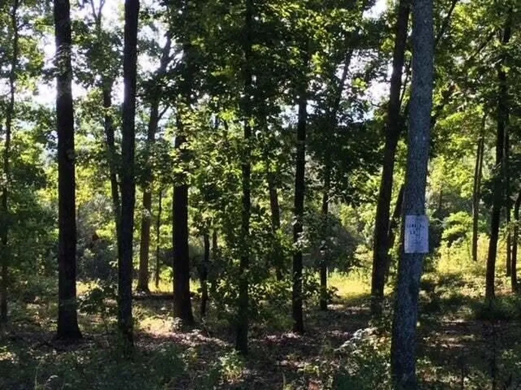 272 Spruce Drive Spring City TN 37381