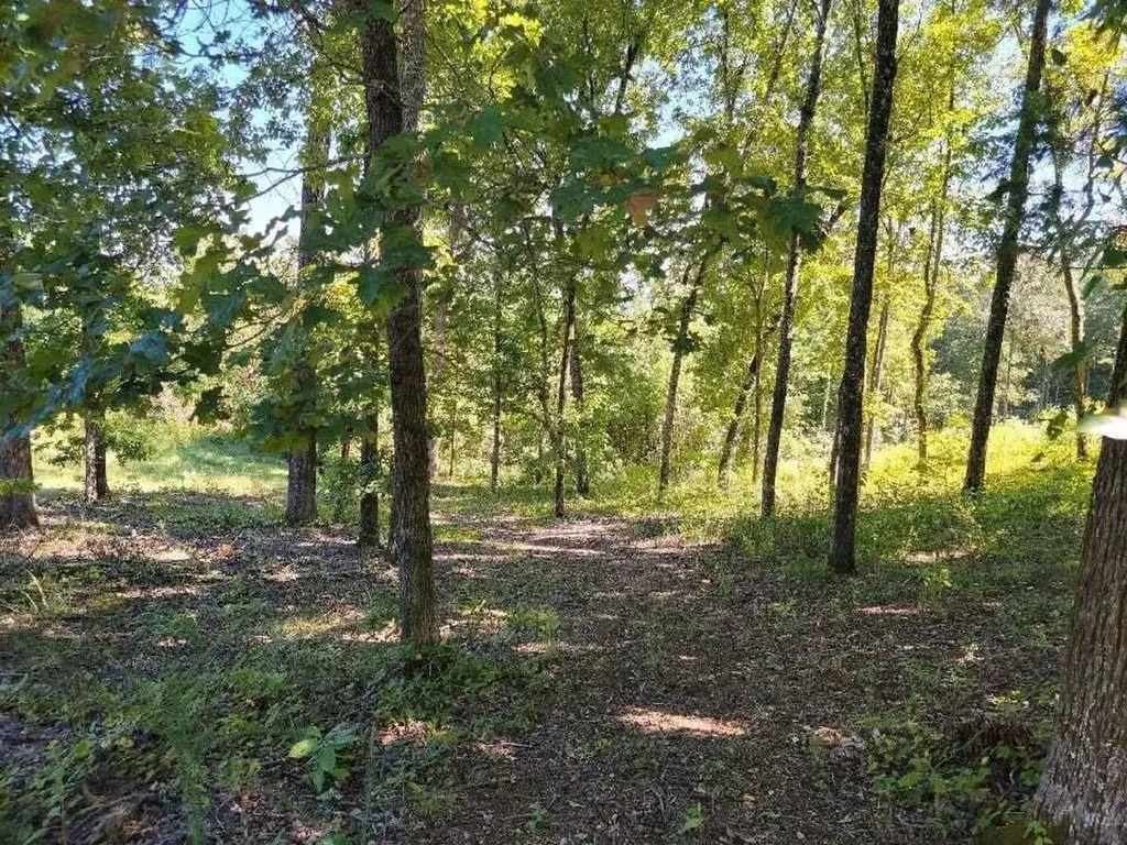272 Spruce Drive Spring City TN 37381